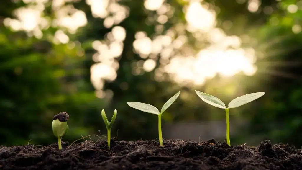 Sustainable Realestate